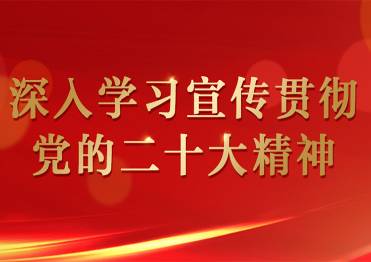 深入学习宣传贯彻党的二十大精神